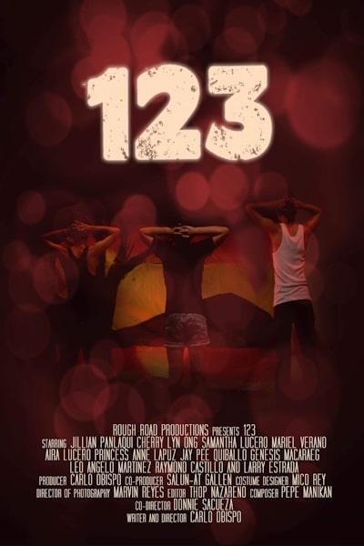 123 (2011)