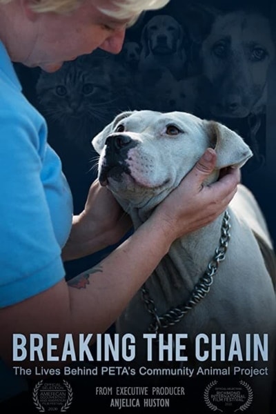 Breaking the Chain