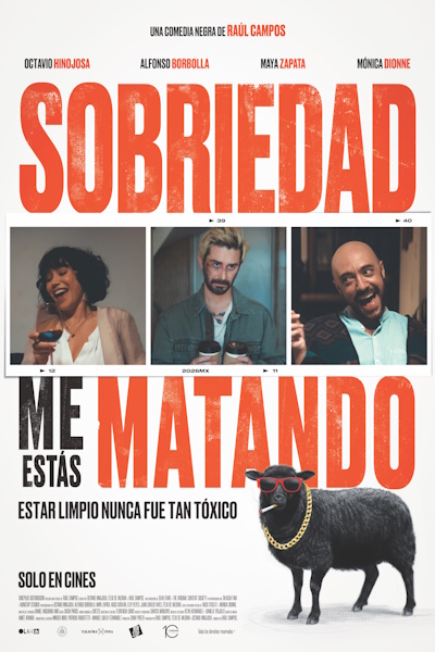 Dear Sobriety: You are Killing Me (Sobriedad me estas matando)