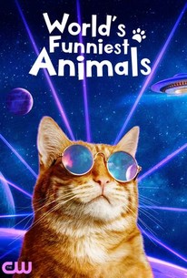 Worlds Funniest Animals - Season 2