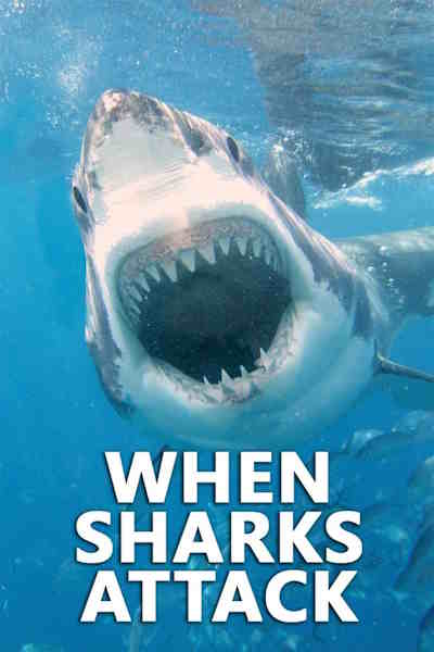 When Sharks Attack - Season 1