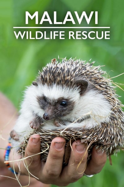 Malawi Wildlife Rescue - Season 1